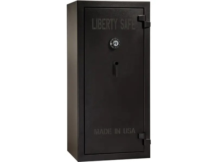 Best black friday gun safes 2024