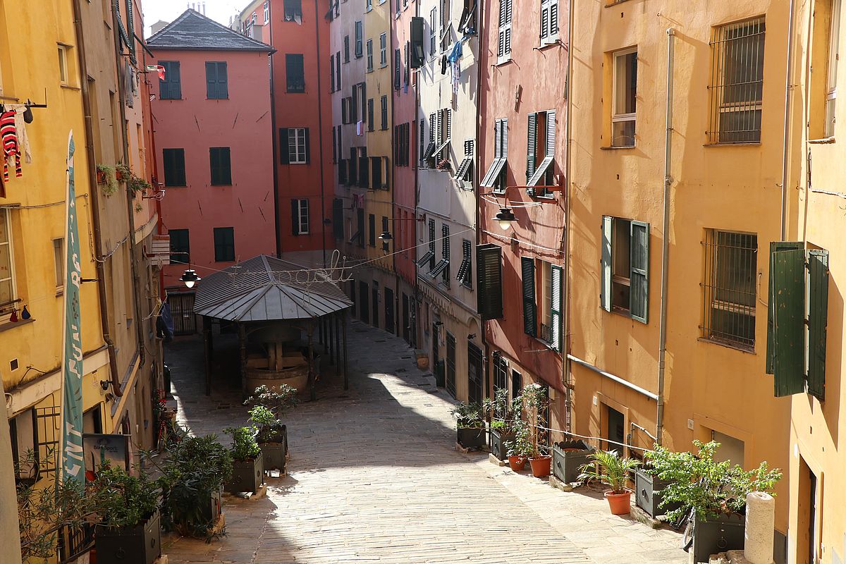 Where digital power meets human potential. Cc Declaration Genoa