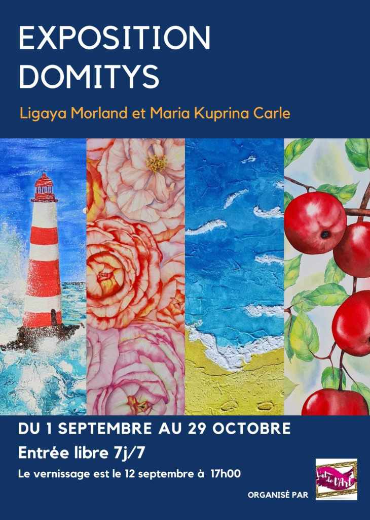 Affiche DOMITYS