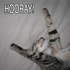 Memes are viral curiosities that spread through hyperlinks and email. Whatâs the âOh Goody!â Rule of Email Appeals, and Why Do You Need It? - Clairification