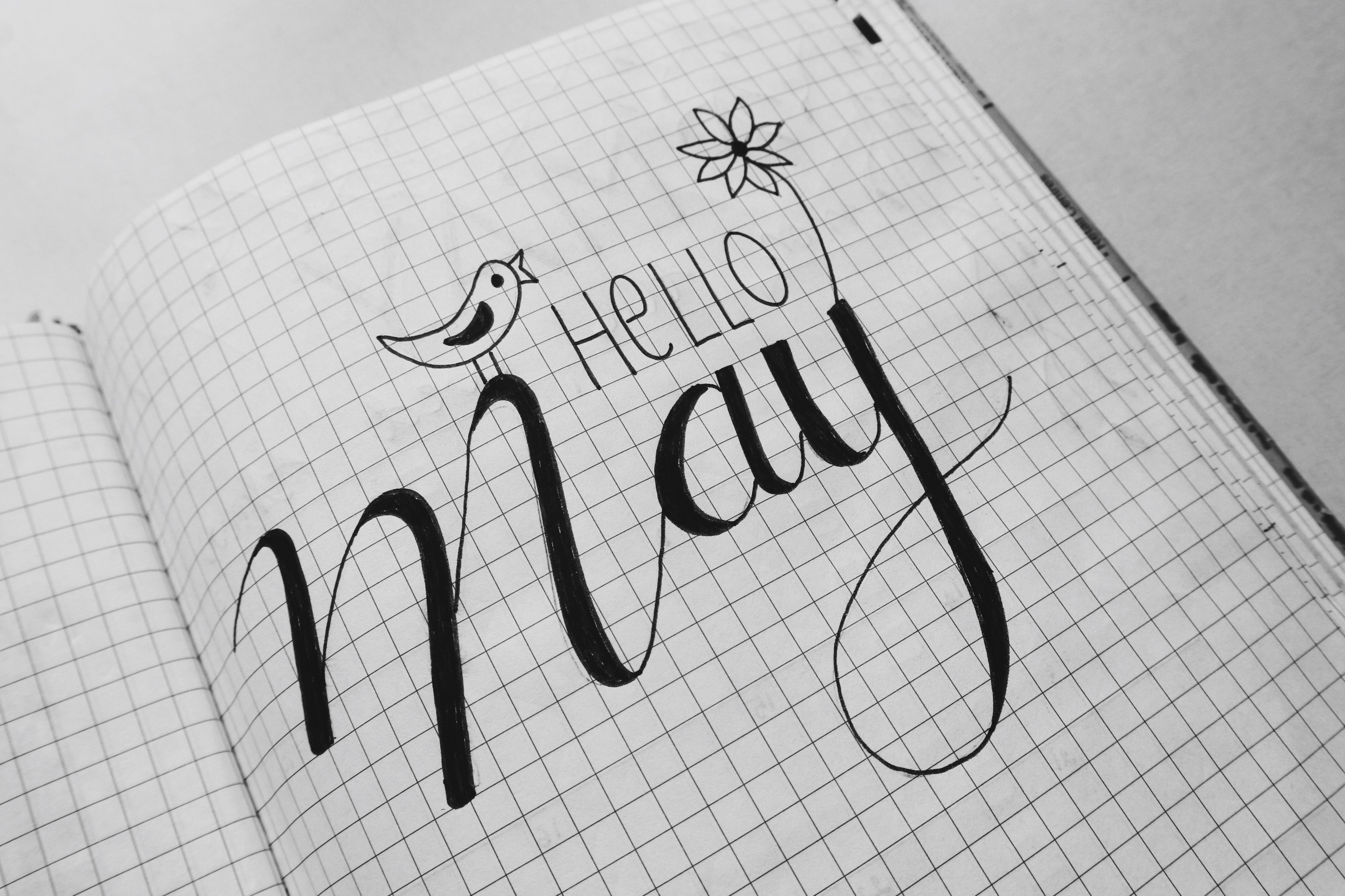 Que Es El Lettering Clase Con Monica