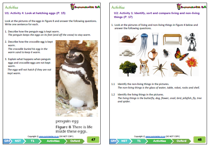 grade 4 natural science technology nst term 1 oxford textbook classroom101