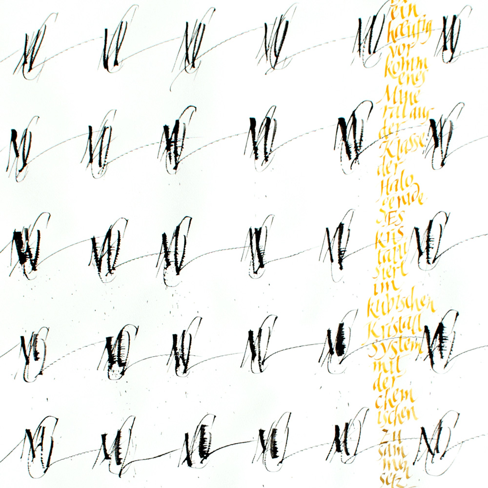 Aktuelles | Claudia Dzengel 1000_x_1000_jpg