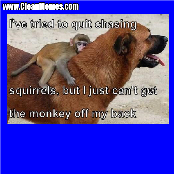 With 100% polyester and sewn closed; Monkey Off My Back Clean Memes