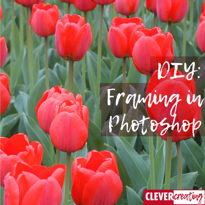 DIY framing in CLEVERcreating