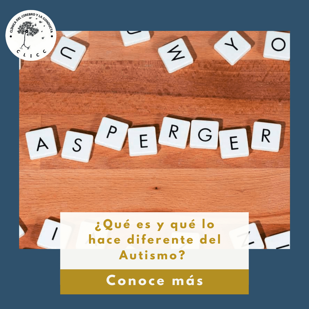 A look into asperger's syndrome with a focus on its symptoms, diagnostic parameters, and treatments. Asperger Que Es Y Que Lo Hace Diferente Del Autismo Clicc Clinica Del Cerebro Y La Conducta
