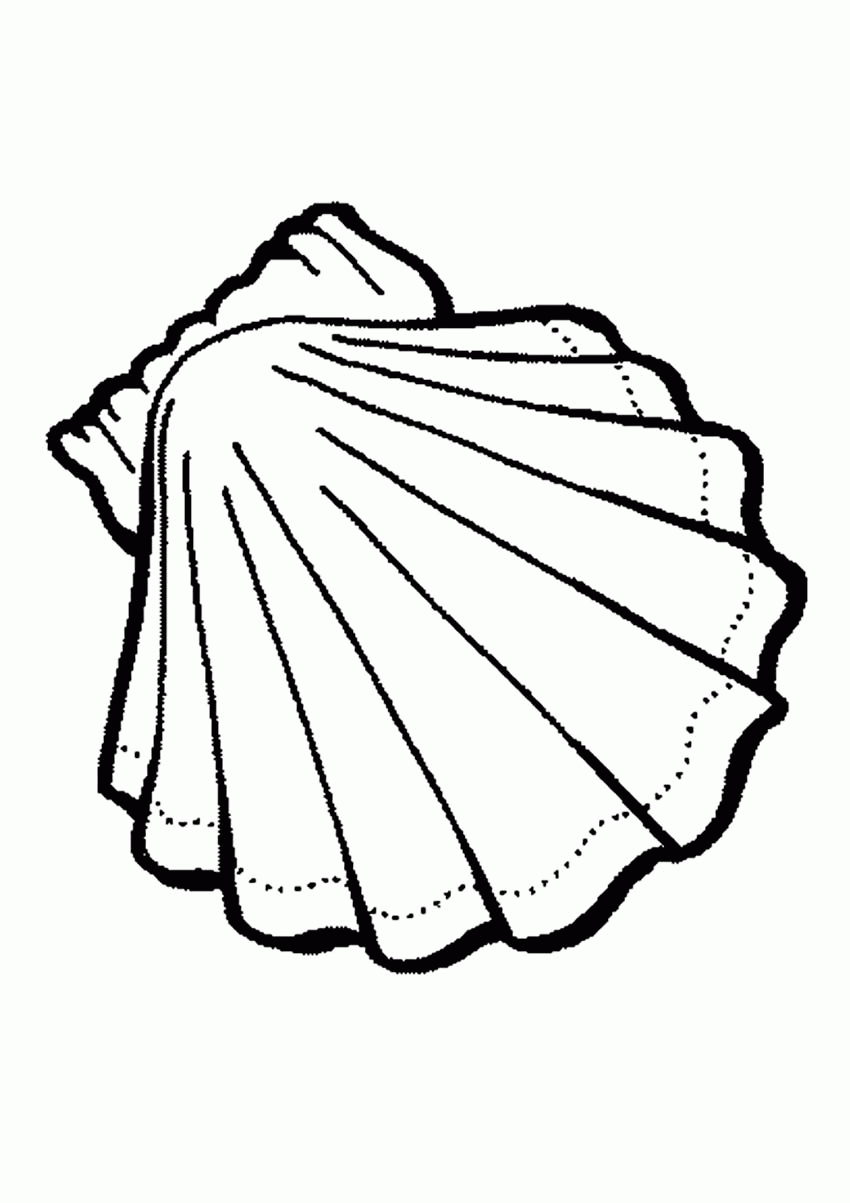 Free printable seashell coloring pages for kids. Free Coloring Pages Of Seashells Download Free Coloring Pages Of Seashells Png Images Free Cliparts On Clipart Library