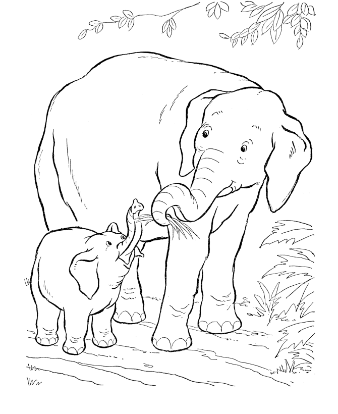 Find the best animals coloring pages for kids and adults and enjoy coloring it. Free African Animal Coloring Pages Download Free African Animal Coloring Pages Png Images Free Cliparts On Clipart Library