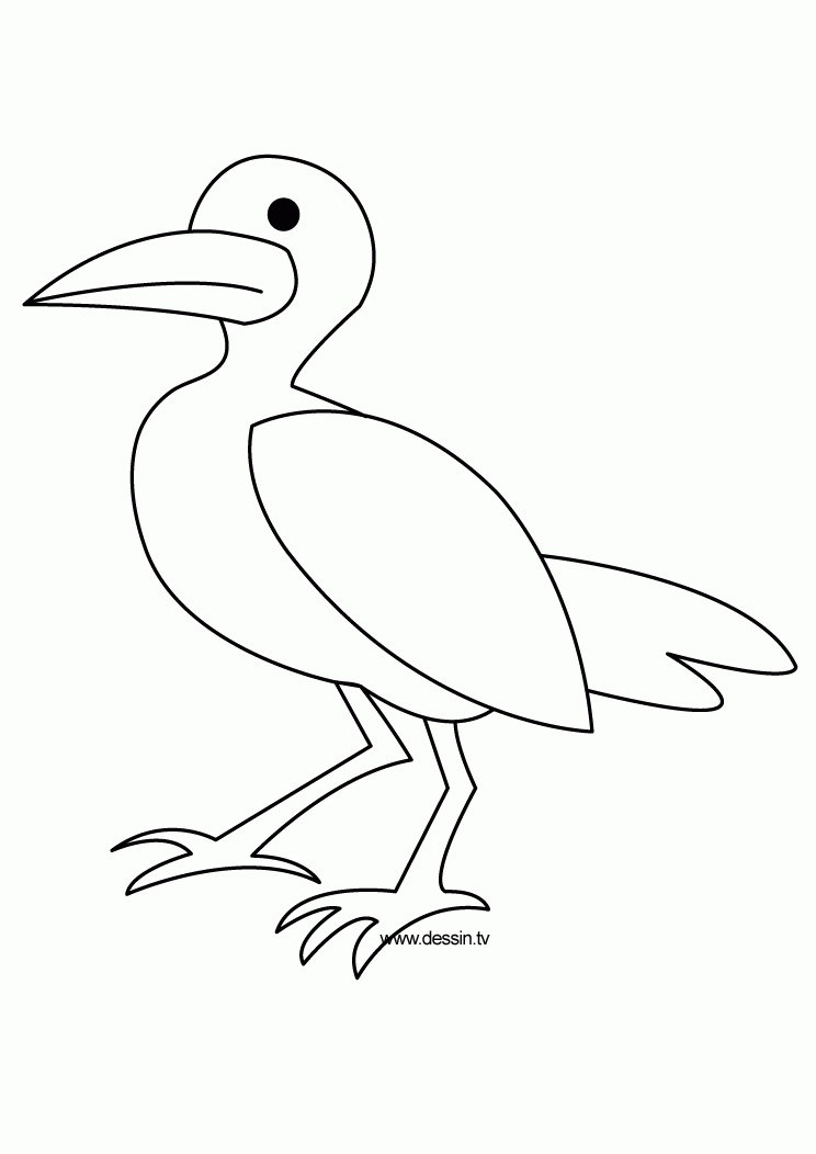 If your child loves interacting. Pelican Clip Art Library