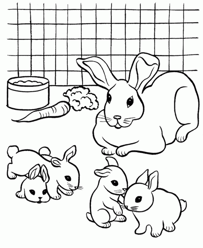 Printable looney tunes lola coloring pages. Pet Bunny Coloring Pages Clip Art Library