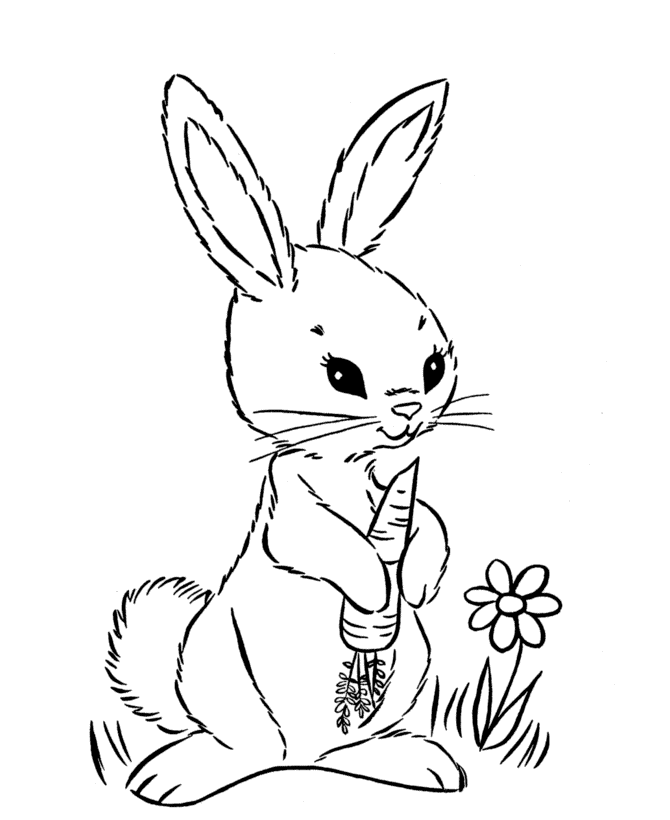 They will surely love it! Free Arctic Hare Coloring Page Download Free Arctic Hare Coloring Page Png Images Free Cliparts On Clipart Library