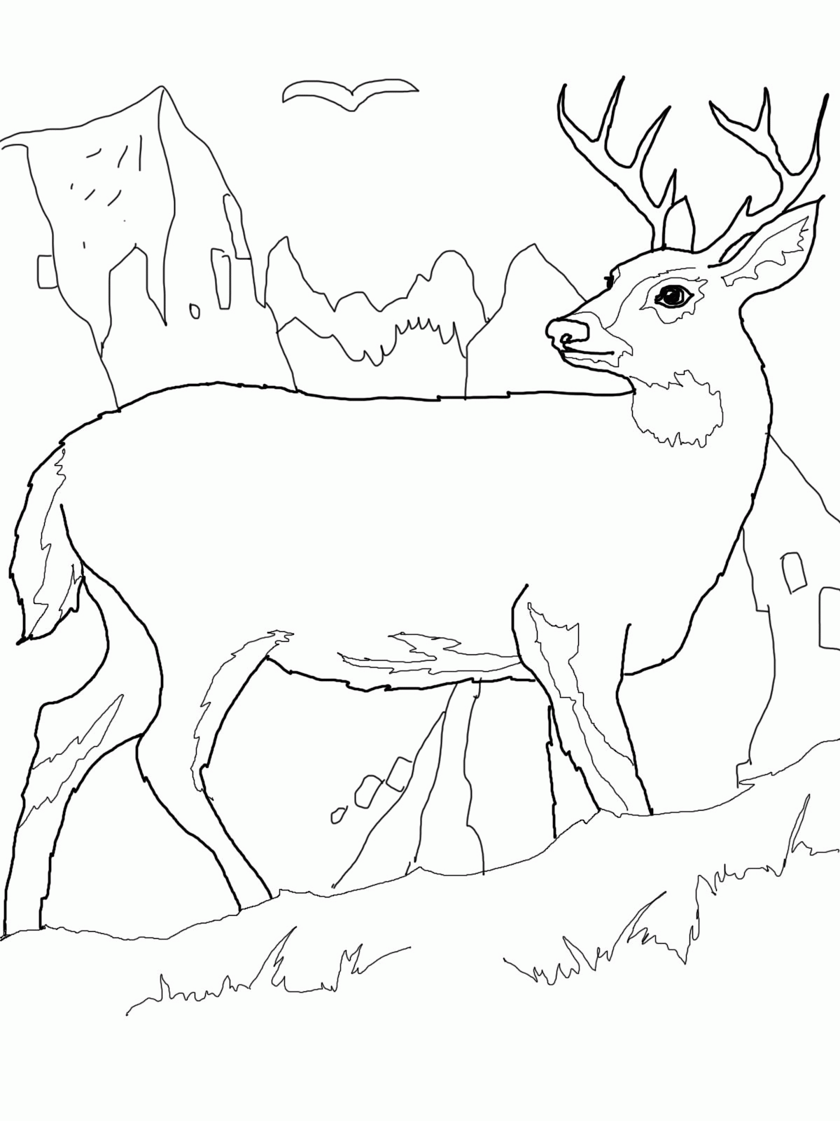 Free, printable coloring pages for adults that are not only fun but extremely relaxing. Free Deer Coloring Pages Printable Download Free Deer Coloring Pages Printable Png Images Free Cliparts On Clipart Library