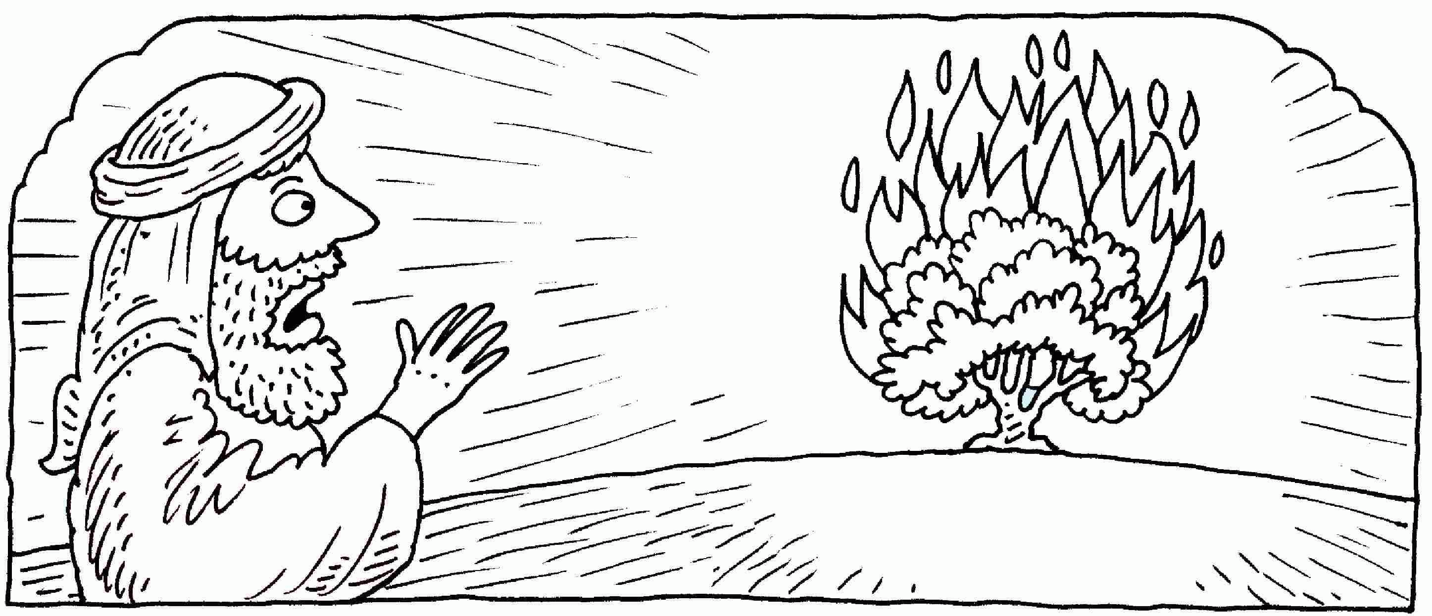 Our online collection of easy and adult . Burning Bush Coloring Page Clip Art Library