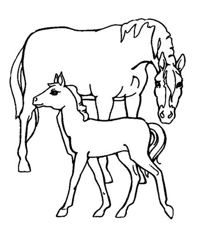 Viking coloring page | viking on rearing horse. Printable Viking Coloring Pages Clip Art Library
