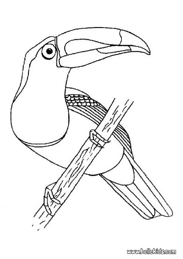 School's out for summer, so keep kids of all ages busy with summer coloring sheets. Free Bird Nest Coloring Page Download Free Bird Nest Coloring Page Png Images Free Cliparts On Clipart Library