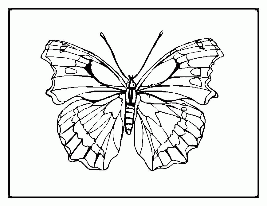 These alphabet coloring sheets will help little ones identify uppercase and lowercase versions of each letter. Free Symmetry Coloring Sheets Download Free Symmetry Coloring Sheets Png Images Free Cliparts On Clipart Library
