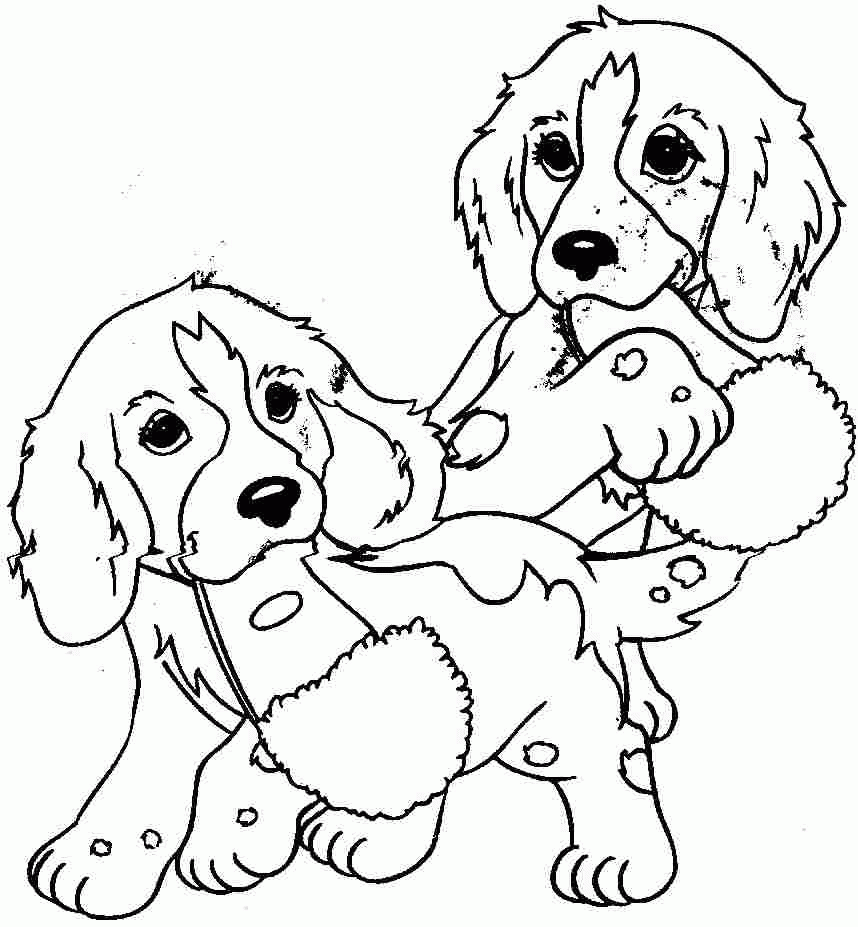 Please, can it be animal cuddle time? Free Free Printable Cute Animal Coloring Pages Download Free Free Printable Cute Animal Coloring Pages Png Images Free Cliparts On Clipart Library