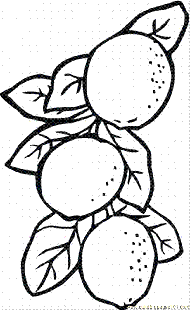 Letter l lemon coloring page. Free Lemon Coloring Page Download Free Lemon Coloring Page Png Images Free Cliparts On Clipart Library
