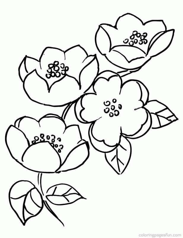 Select from 50746 printable crafts of cartoons, nature, animals, bible and many . Free Cherry Blossom Coloring Page Download Free Cherry Blossom Coloring Page Png Images Free Cliparts On Clipart Library