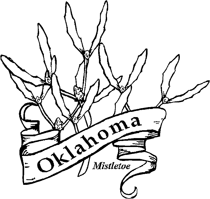 An oklahoma african american history coloring book. Oklahoma State Flower Coloring Page Clip Art Library