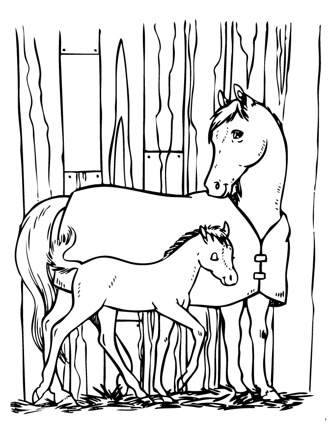 Horses coloring page to print and color : Horse And Pony Coloring Pages Clip Art Library