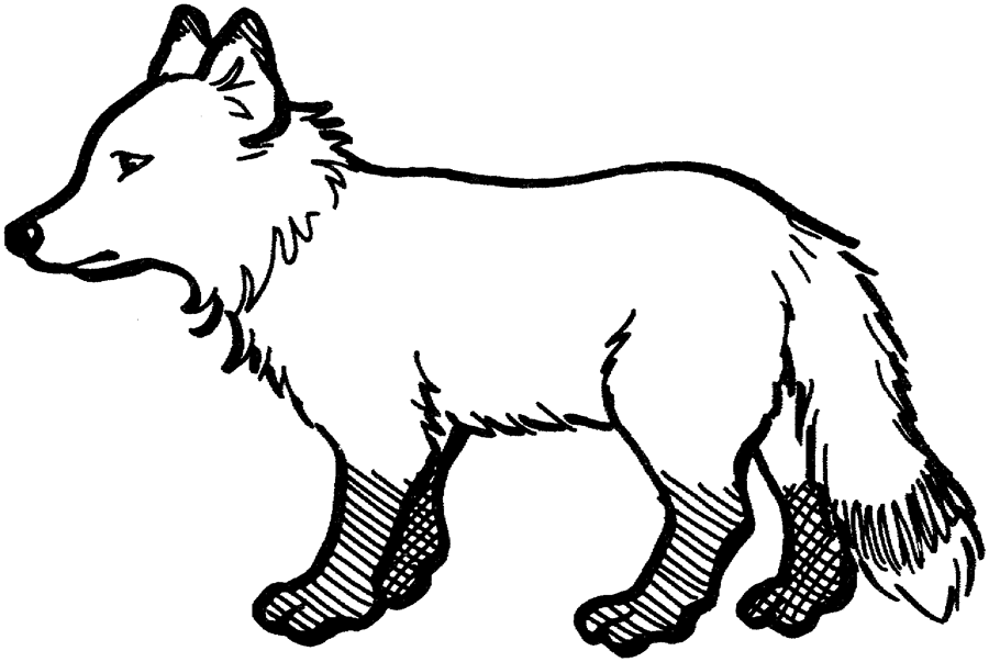 Select from 36976 printable coloring pages of cartoons, animals, nature, bible and many more. Free Arctic Fox Coloring Pages Download Free Arctic Fox Coloring Pages Png Images Free Cliparts On Clipart Library