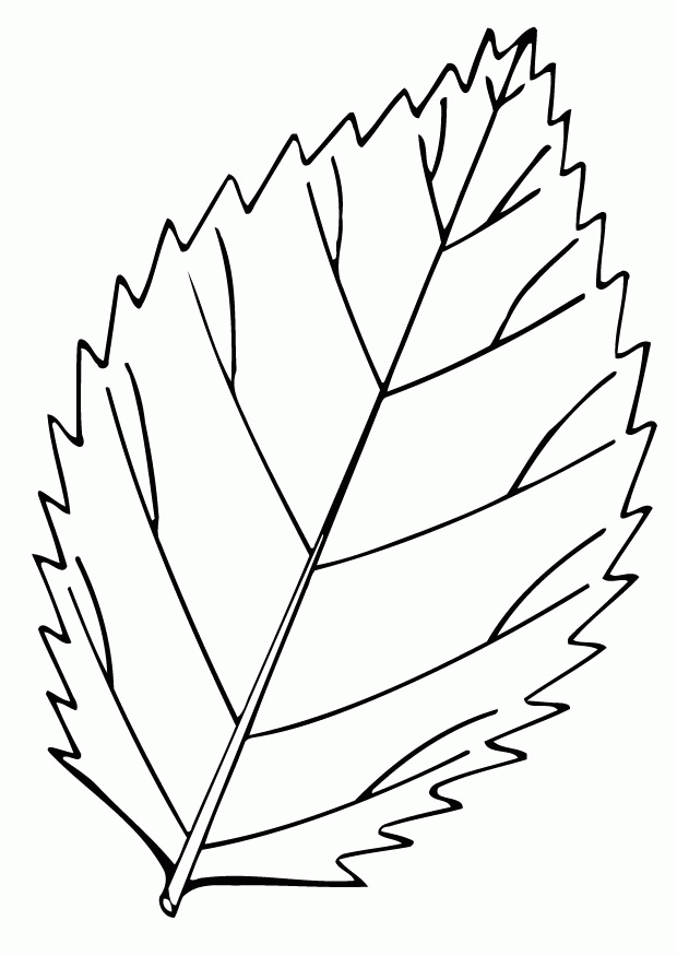 In some areas, you might wait all year for the leaves to change—only to wake up one morning and they’re all on the ground. Leaf Clipart Black And White Png Clip Art Library