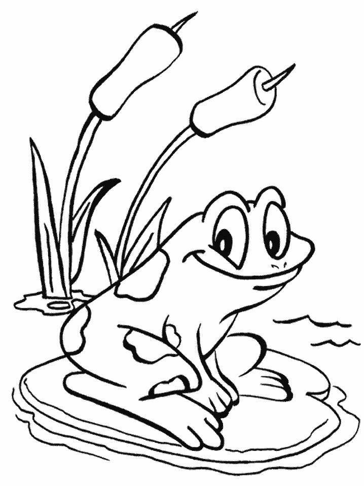 The american green tree frog is abundant, adaptable, and has an appetite for mosquitoes. Free Tree Frog Coloring Pages Download Free Tree Frog Coloring Pages Png Images Free Cliparts On Clipart Library