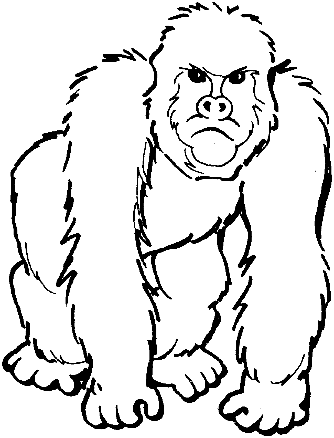 Cross River Gorilla Drawing Clip Art Library