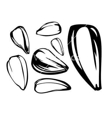 Seeds Coloring Page : Coloring The Sower And The Seed Kids Korner Biblewise :