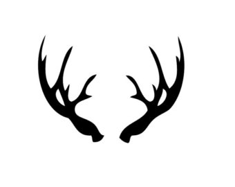 Choose from over a million free vectors, clipart graphics, vector art images,. Free Antler Cliparts Download Free Antler Cliparts Png Images Free Cliparts On Clipart Library
