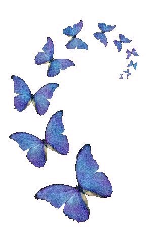 Free Papillon Cliparts Download Free Papillon Cliparts Png Images Free Cliparts On Clipart Library