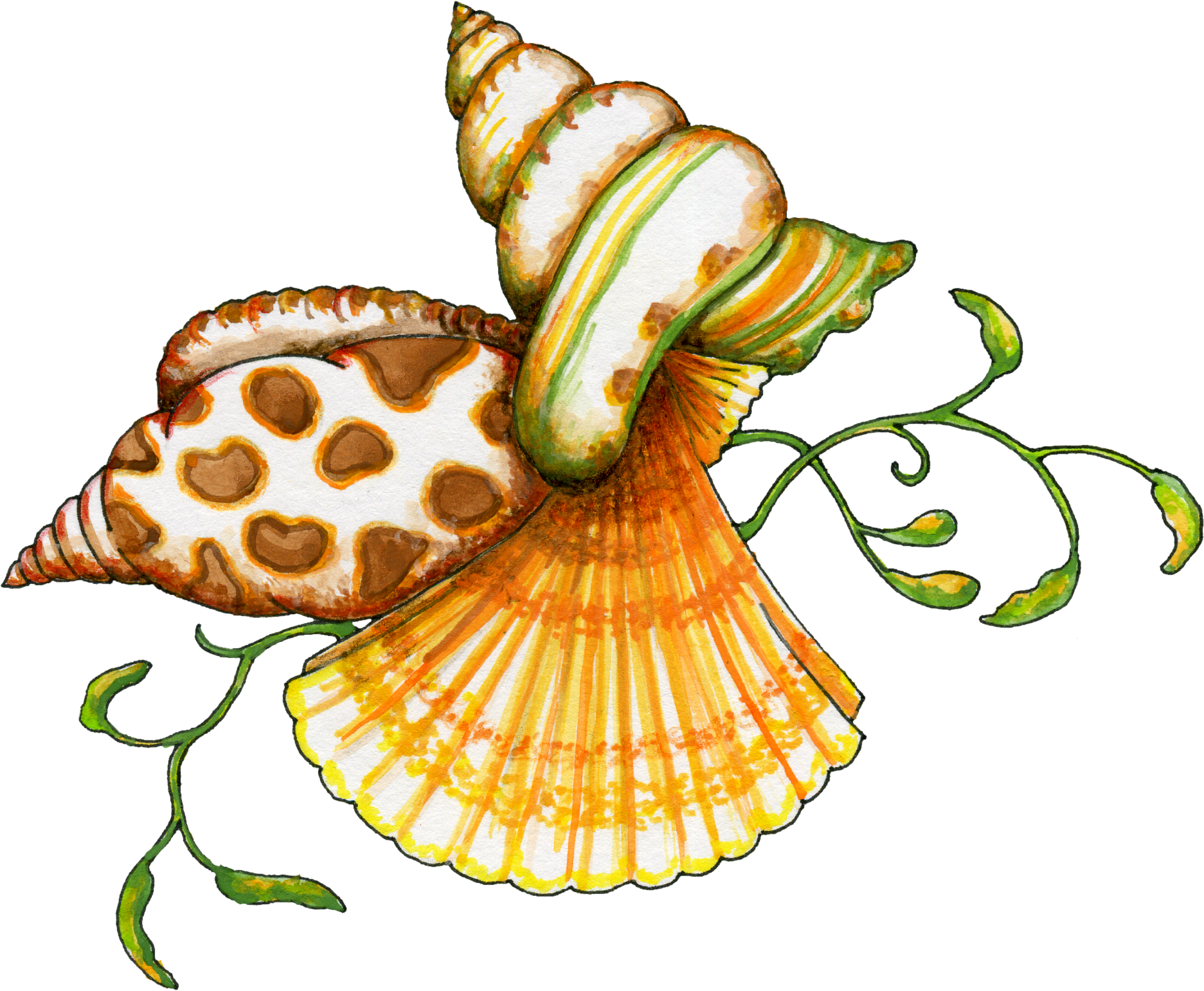 To created add 31 pieces, transparent seashell images of your project . Free Transparent Sea Shells Download Free Transparent Sea Shells Png Images Free Cliparts On Clipart Library