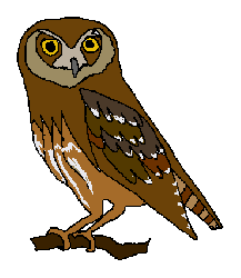Elf Owl Clipart Clip Art Library