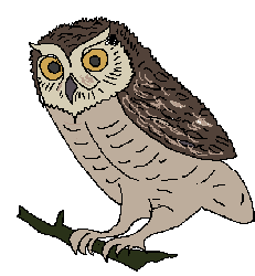 Realistic Owl Clip Art Clip Art Library