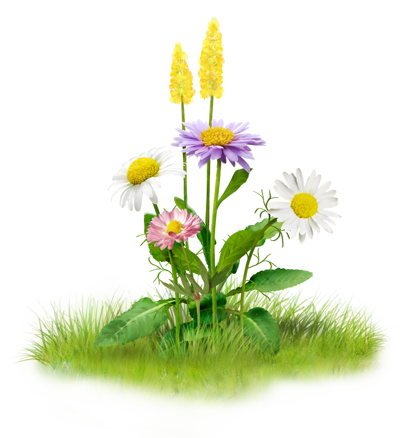 With these nature png images, you can directly . Free Nature PNG Transparent Images, Download Free Nature ...