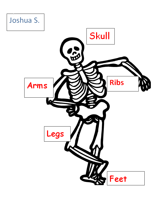 She challenged society's notions of what it means to be female and an athlete. Free Skeleton For Kids, Download Free Skeleton For Kids
