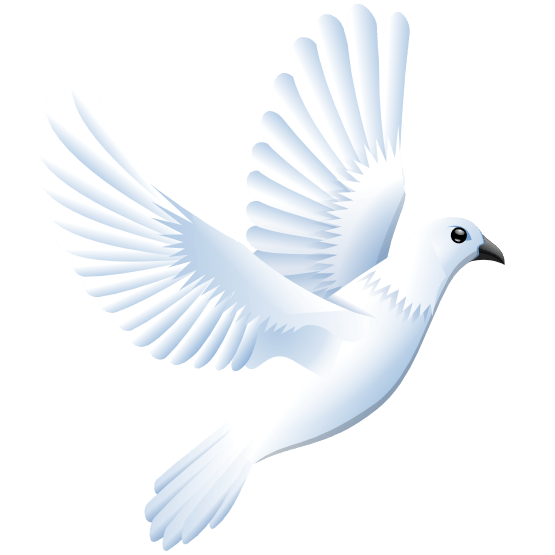 Dove and peace dove, white dove, wedding doves, flying dove, holy spirit dove, dove silhouette, cross and dove, cartoon dove, religious dove, funeral dove . Free Flying Dove Png Download Free Flying Dove Png Png Images Free Cliparts On Clipart Library
