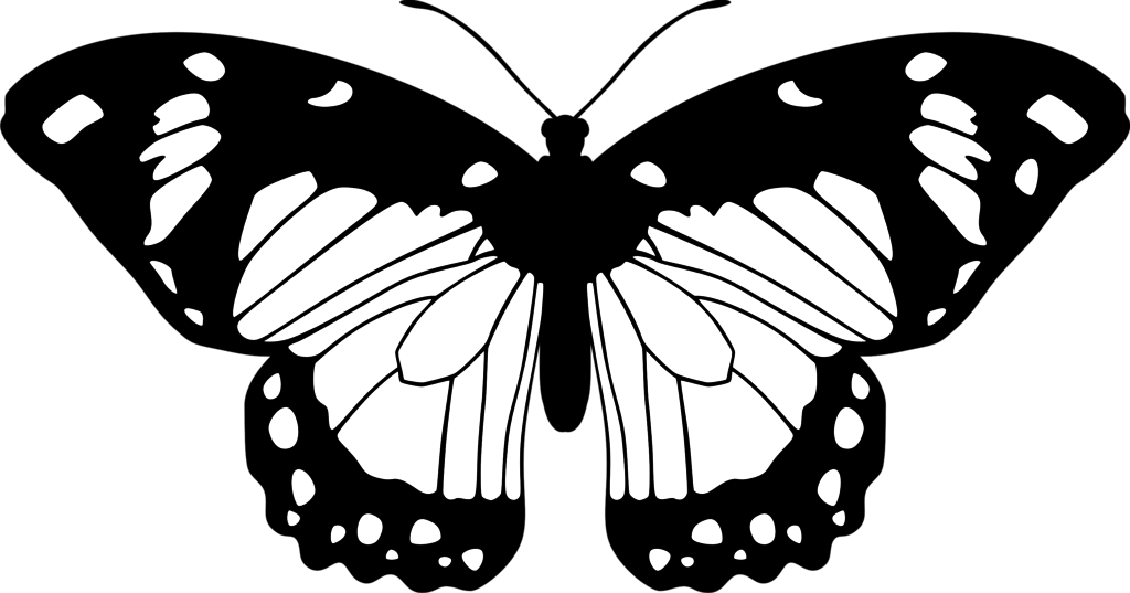 1920x1200 white, black, and red butterfly on red petaled flower . Free Black And White Butterfly Wallpaper Download Free Black And White Butterfly Wallpaper Png Images Free Cliparts On Clipart Library