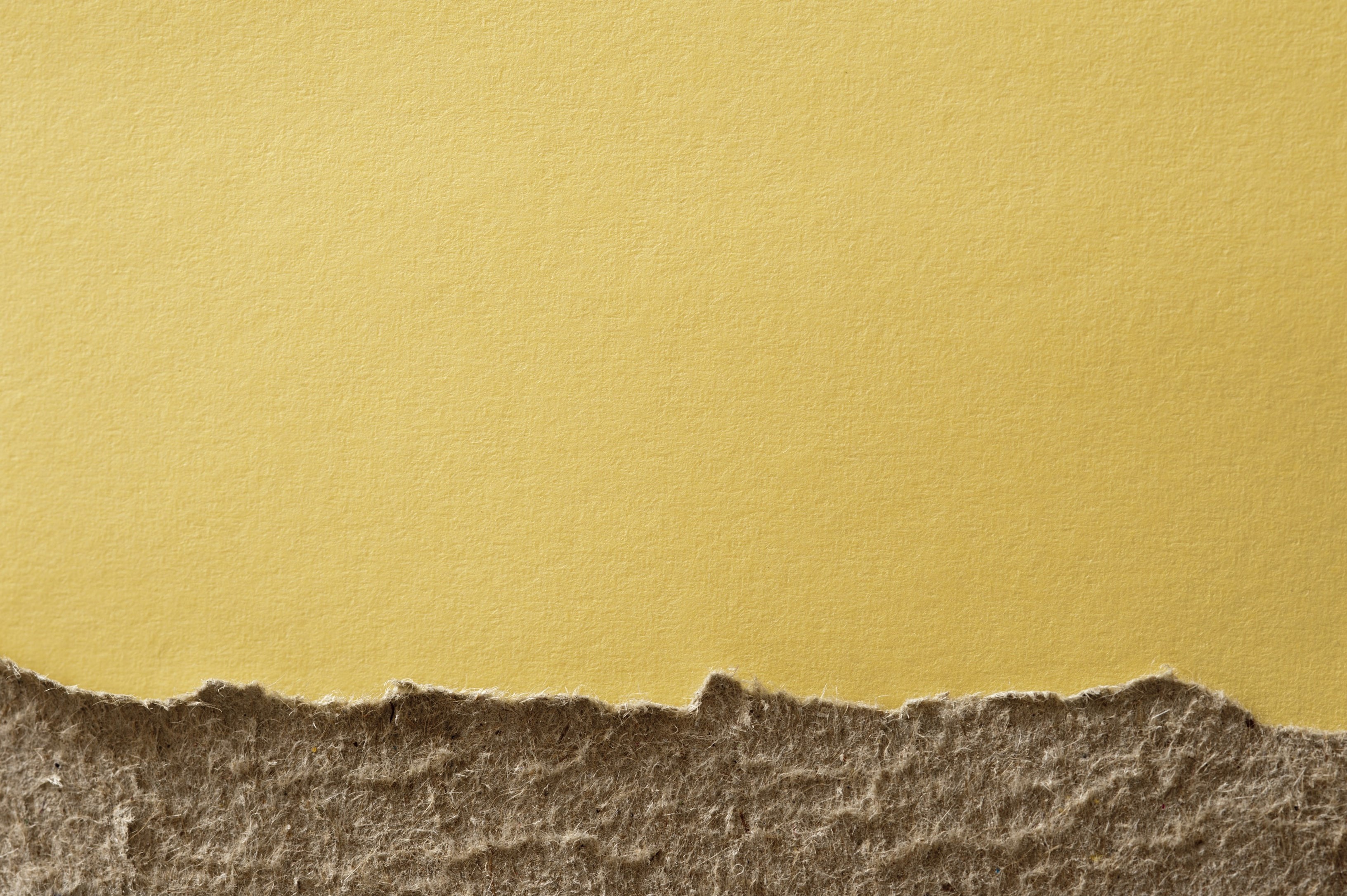 Log, a fictional product in the ren & stimpy show; Free Torn Paper, Download Free Torn Paper png images, Free