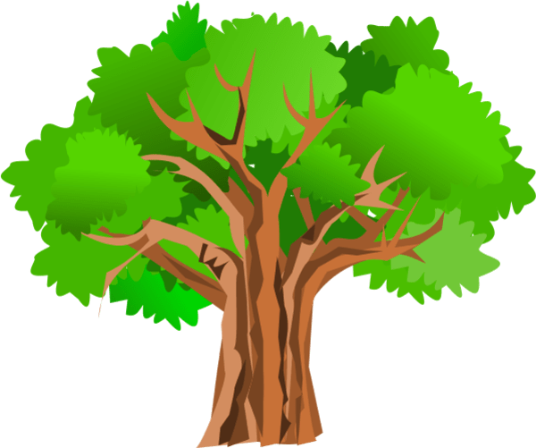 Nicepng also collects a large amount of related image material, such as christmas tree clipart ,banana tree ,cherry blossom tree. Free Thick Tree Cliparts Download Free Thick Tree Cliparts Png Images Free Cliparts On Clipart Library