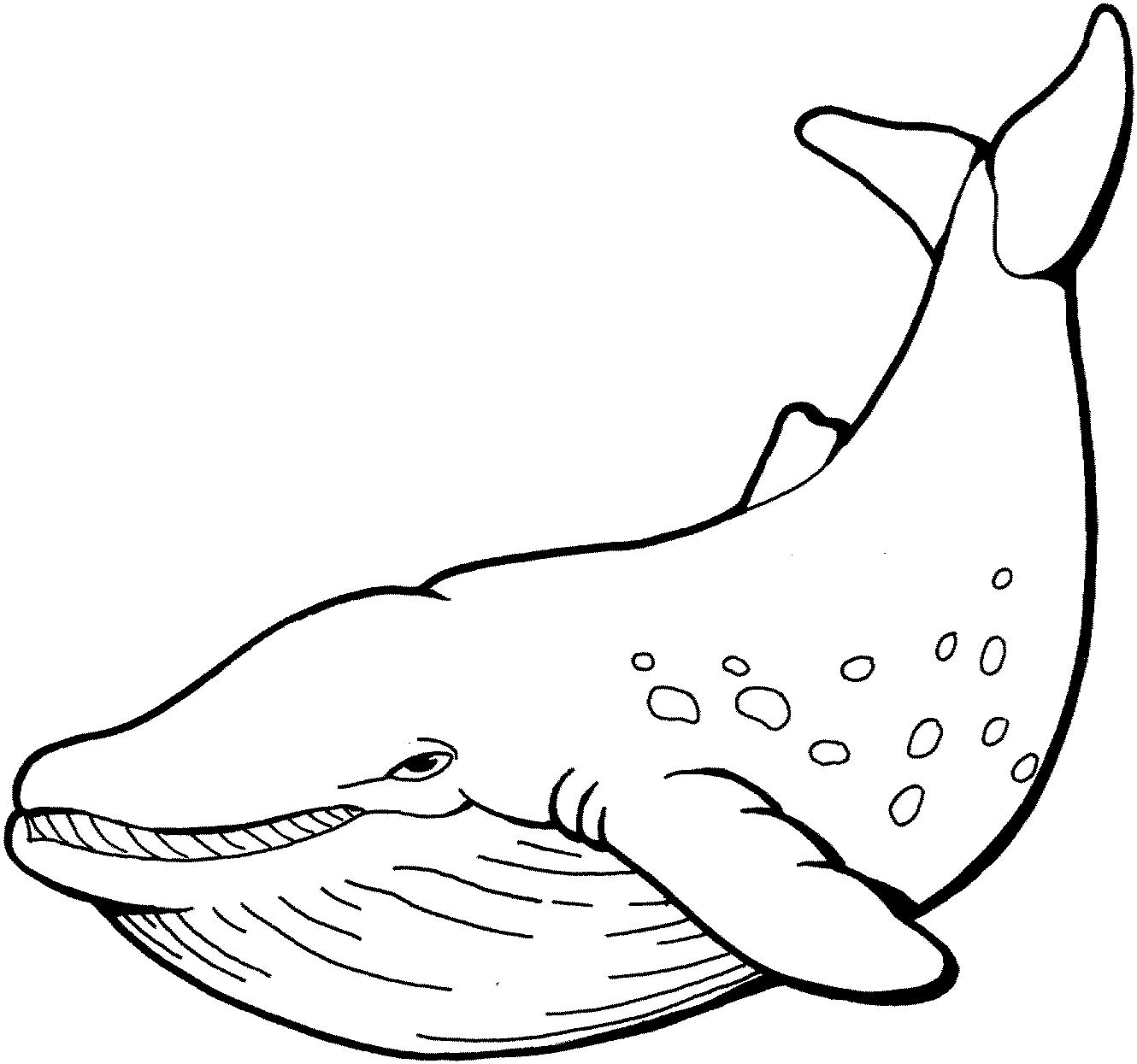 Download black and white whale clipart and use any clip art,coloring,png graphics in your website, document or presentation. Free Black And White Whale Clipart Download Free Black And White Whale Clipart Png Images Free Cliparts On Clipart Library
