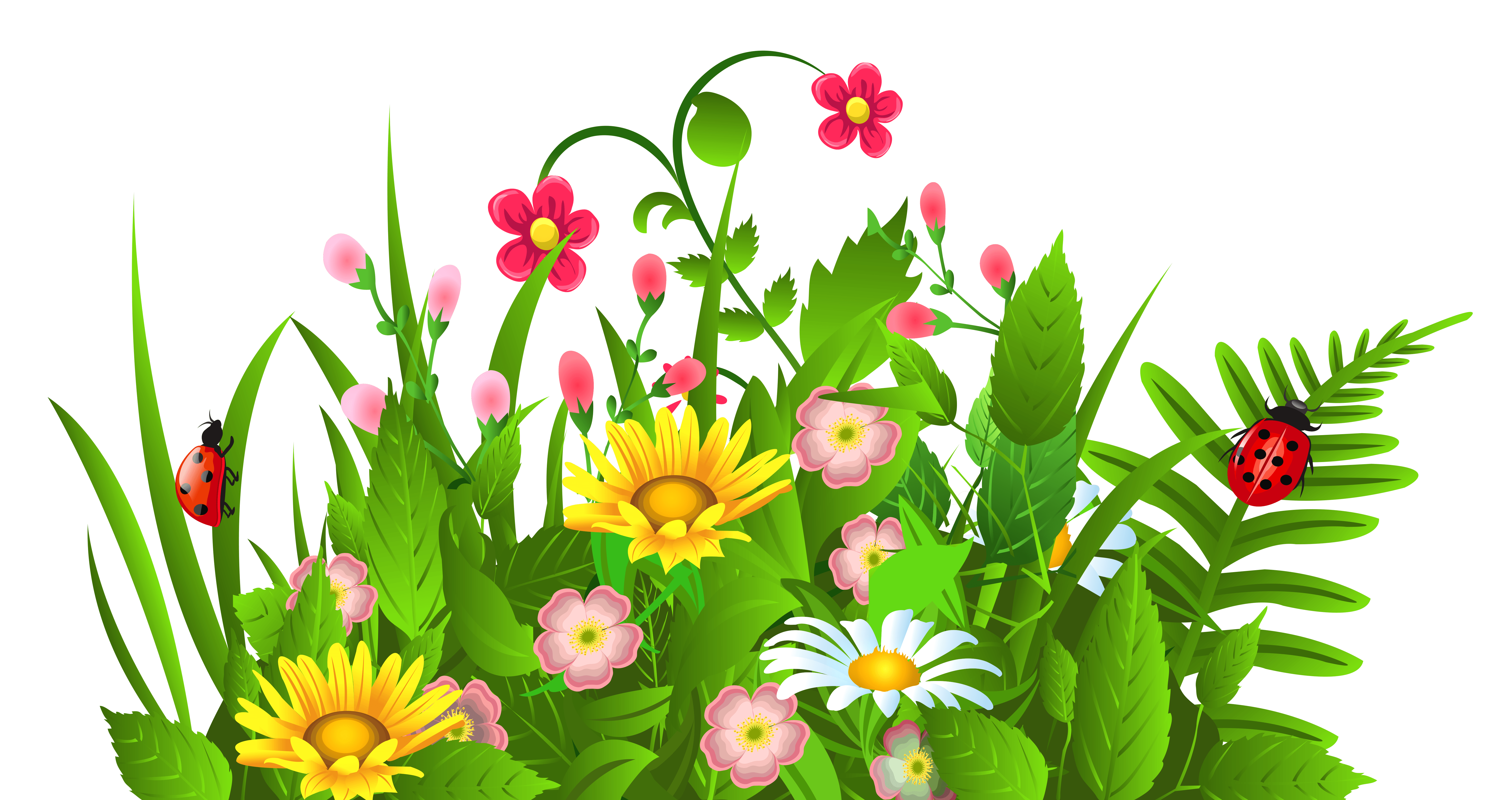 Free Transparent Flower Cliparts Download Free Transparent Flower Cliparts Png Images Free Cliparts On Clipart Library