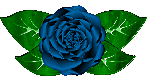 Tattoo sketches, sketch tattoo design, tattoo drawings, ruby rose tattoo, foot tattoos. Free Blue Rose Cliparts Download Free Blue Rose Cliparts Png Images Free Cliparts On Clipart Library