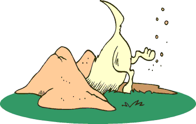 However, experts think the coronavirus transmitted from live animals to human through the food. Free Cliparts Burrow Hole, Download Free Cliparts Burrow Hole png images, Free ClipArts on