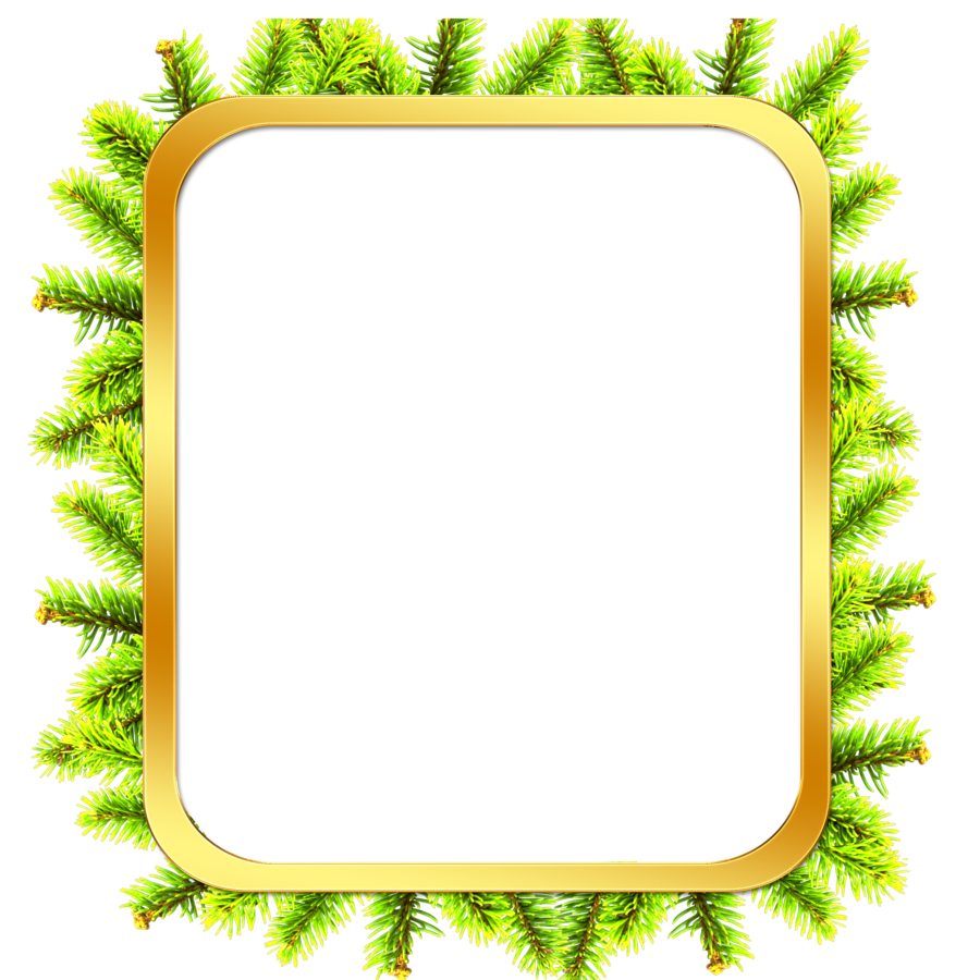 Are you searching for tree frame png images or vector? Free Tree Frame Cliparts Download Free Tree Frame Cliparts Png Images Free Cliparts On Clipart Library
