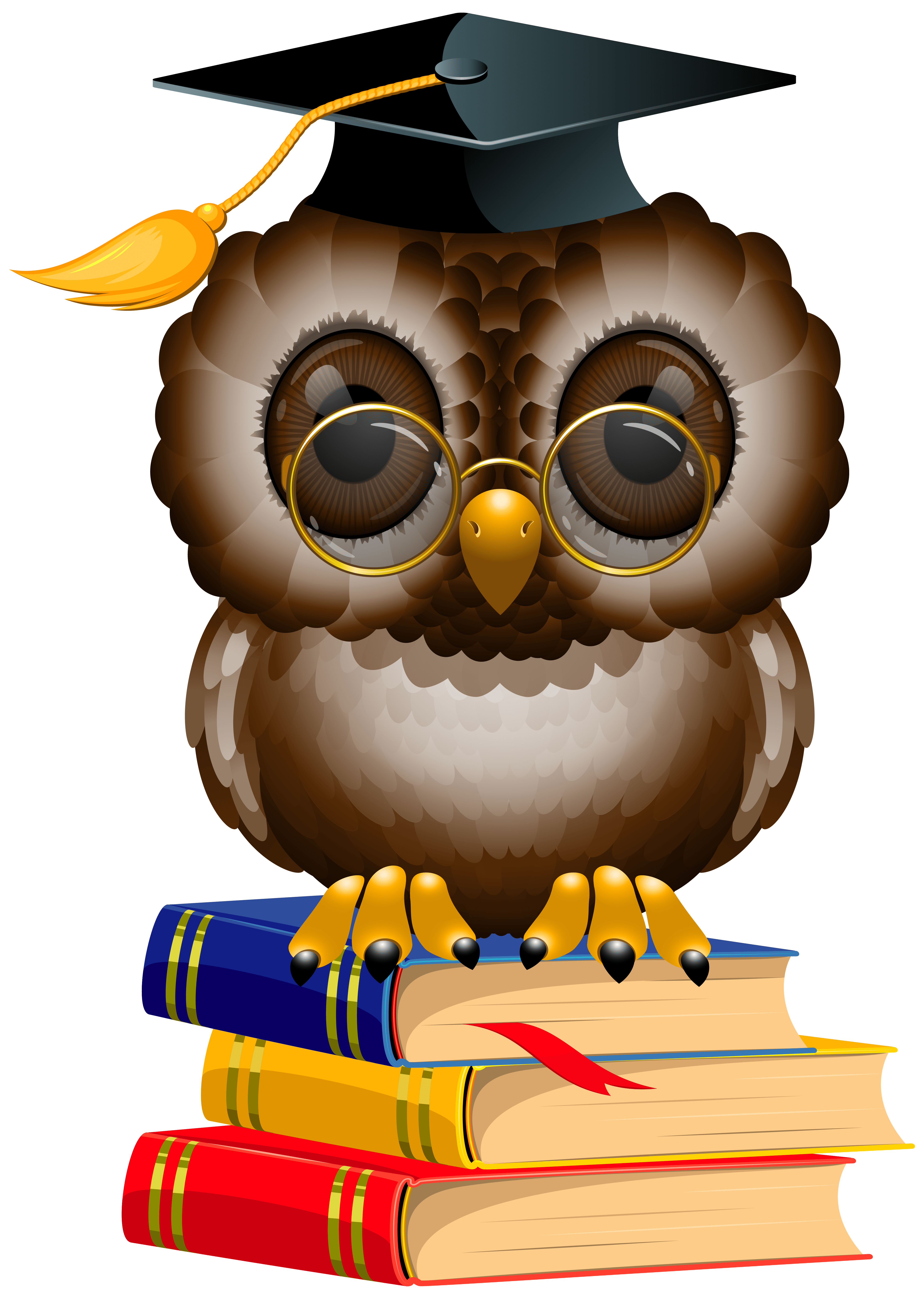 All book stack clip art images are transparent background and free to download. Free Transparent Cliparts Schoolbooks, Download Free Transparent Cliparts Schoolbooks png images