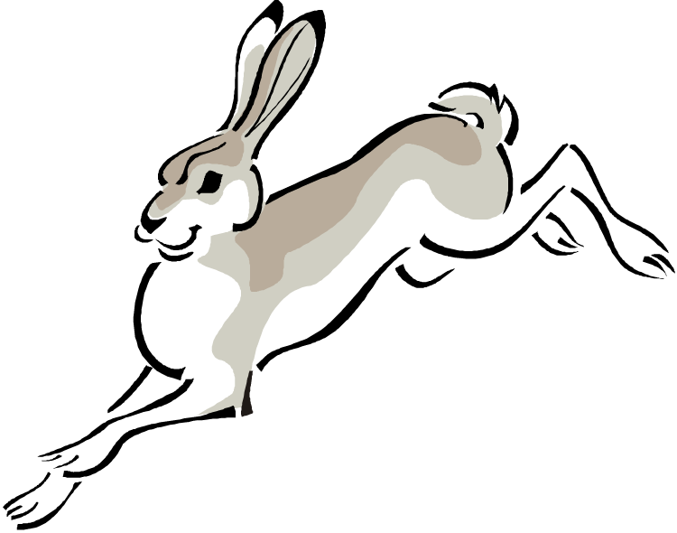 Arctic Hare Clipart