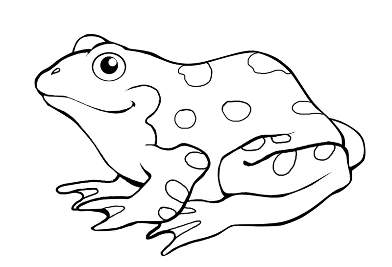 New users enjoy 60% off. Free Frog Line Cliparts Download Free Frog Line Cliparts Png Images Free Cliparts On Clipart Library