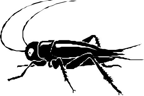 While the field crickets (gryllinae) are robust brown or black insects. Cricket Insect Clipart Black And White Clip Art Library